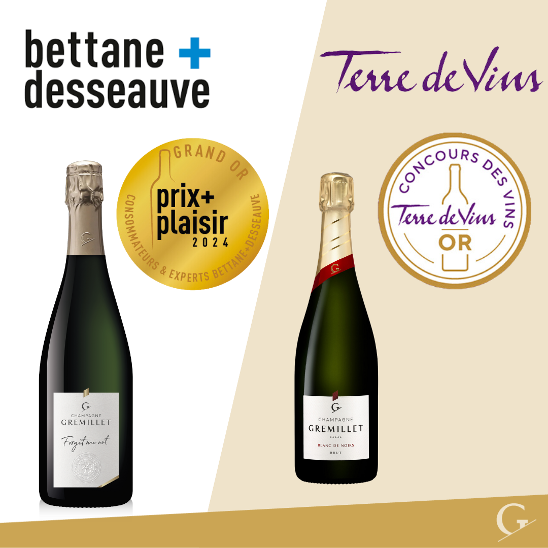 Bettane&Desseauve et Terre de vins 2024