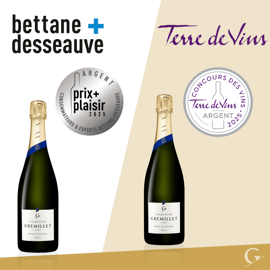 Lire la suite à propos de l’article BETTANE&DESSAUVE ET TERRE DE VINS 2025